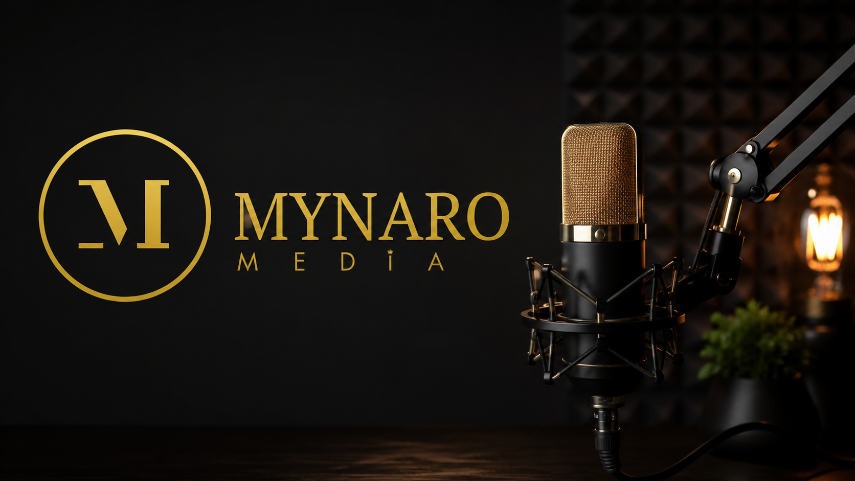 Mynaro media
